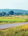 আমলাশোলের দিনরাত আমলাশোলের দিনরাত3