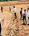 राज्यभर के पटवारी उतरे खेतों में, हर दिन पांच बटांकन करने का आदेश राज्यभर के पटवारी उतरे खेतों में, हर दिन पांच बटांकन करने का आदेश3