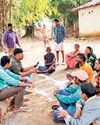 स्थायित्व मिला तो वंशवृद्धि की समस्या हुई दूर स्थायित्व मिला तो वंशवृद्धि की समस्या हुई दूर