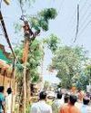 पेड़ की शाखा काटते वक्त करंट की चपेट में आया अधेड़, मौत3