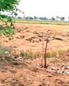 उद्यमियों को मिलेगी फूड पार्क में व्यवसाय करने के लिए जगह0