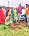 पर्यावरण संतुलन के लिए पौधारोपण आवश्यक8