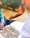 मौसमी सब्जी फूटू और बोड़ा ने दी बाजार में दस्तक22