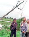 बिजली पोल लगाने में अनियमितता24