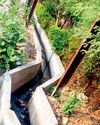 स्टीमेट के विरूद्ध निर्माण गुणवत्ता की अनदेखी स्टीमेट के विरूद्ध निर्माण गुणवत्ता की अनदेखी