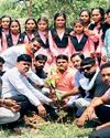 गुढ़ा स्कूल में छात्राओं ने किया पौधारोपण गुढ़ा स्कूल में छात्राओं ने किया पौधारोपण