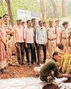 वन विभाग ने चारागाह विकास संबंधी कार्यशाला का किया आयोजन25