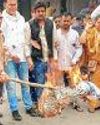 कांग्रेस ने जलाया ईडी और बीजेपी का पुतला15