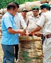 तेंदूपत्ता तस्कर गिरोह पकड़ा गया, 5000 गड्डी बरामद तेंदूपत्ता तस्कर गिरोह पकड़ा गया, 5000 गड्डी बरामद1