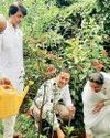 प्लास्टिक का उपयोग पर्यावरण को दूषित कर रहा है : विवेक सोनी21
