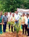 गढ़मिरी में उद्यानिकी विभाग ने जिले का पहला ऑयल पाम का पौधा लगाया10