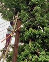 मानसून से पहले फरसगांव में बिजली लाइनों का मेंटनेस कार्य जारी10