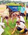 शहर को स्वच्छ सुंदर बनाने में सबका सहयोग जरूरी : पाण्डे18