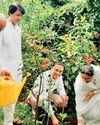 प्लास्टिक का उपयोग पर्यावरण को दूषित कर रहा है : विवेक सोनी24