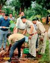 वन मंदिर वाटिका टेकनार में कलेक्टर सहित अन्य अधिकारियों ने रोपे पौधे15
