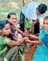 हिन्दूबिनापाल में 5 हजार पौधे रोपित करने का लिया गया संकल्प : सरपंच0