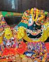 देवस्नान चंदन जात्रा पूजा विधान के साथ बस्तर गोंचा पर्व का शुभारंभ11