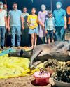सर्जरी करके गाय के पेट से निकाली गई लगभग 80 किलो पॉलीथिन3