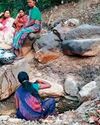सुविधाओं से दूर है छत्तीसगढ़ की सबसे बड़ी पंचायत कुल्हाड़ीघाट16