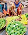 फलों का राजा आम बाजार में छाया वेगनपल्ली, सुंदरी की भरपूर आवक11
