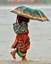 प्री-मानसून बारिश से सक्रिय हुए किसान6