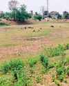 मैनपुर ब्लॉक में जल संकट गहराया, 150 से अधिक गांवों में है निस्तारी की समस्या13