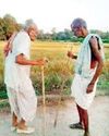 दाई-बबा दिवस के अवसर पर बुर्जुगों का हेल्थ चेकअप आज2