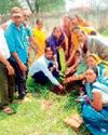 विश्व पर्यावरण दिवस पर अस्पताल परिसर में विधायक रोहित ने सागौन के पौधे रोपे8