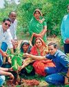 अतरमरा में रोपे गए पौधे अतरमरा में रोपे गए पौधे18