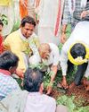 डूमाघाट में अब लगेगा साप्ताहिक बाजार4