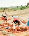 उच्च न्यायालय ने कहा, विशेष नियम बनाने का अधिकार केंद्र को प. बंगाल में मनरेगा योजना लागू करने का निर्देश9