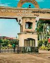 इस बार उद्यानिकी पाठ्यक्रम के लिए काउंसिलिंग नहीं करेगा कृषि विवि4
