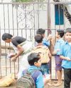 गेट के बाहर शिक्षकों के आने का इंतजार करते रहे मासूम5