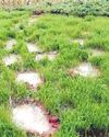 कल्याणपुर खुटहनपारा में हाथियों ने आधा दर्जन से अधिक कच्चे मकानों को किया क्षतिग्रस्त33