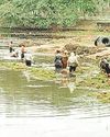 राधासागर तालाब की सफाई शुरू पालिका अध्यक्ष की पहल लाई रंग1