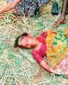 तेंदूपत्ता तोड़ने गई महिलाओं पर बाघ ने किया हमला, 3 की मौत तेंदूपत्ता तोड़ने गई महिलाओं पर बाघ ने किया हमला, 3 की मौत