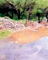 बोरवन पार्क रोड पर गड्डों में भर दिए पत्थर, बने जानलेवा29