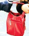 एक्टिवा सवार लुटेरे ने महिला का पर्स झपटा26