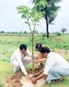 नेशनल हाइवे 552 के तीनों बायपास किनारे 10 हजार पौधों का रोपण करेगा एनएचएआई16
