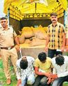 बीएनपी पुलिस ने चोर गिरोह का किया पर्दाफाश बीएनपी पुलिस ने चोर गिरोह का किया पर्दाफाश7
