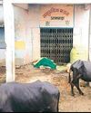 शासकीय सामुदायिक भवन में भरे लहसुन और प्याज17