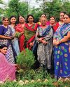 युवा हिन्दू वाहिनी ने सरस्वती स्कूल में किया पौधारोपण युवा हिन्दू वाहिनी ने सरस्वती स्कूल में किया पौधारोपण9