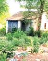 जीर्णशीर्ण व क्षतिग्रस्त भवनों के डिस्मेंटल आदेश का नहीं हो सका पालन नप में स्थाई सीएमओ नहीं होने के चलते बाधित रही कार्रवाई, आई बरसात जीर्णशीर्ण व क्षतिग्रस्त भवनों के डिस्मेंटल आदेश का नहीं हो सका पालन नप में स्थाई सीएमओ नहीं होने के चलते बाधित रही कार्रवाई, आई बरसात13
