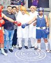 हरियाणा राज्य बॉक्सिंग प्रतियोगिता सम्पन्न 500 युवा मुक्केबाजों ने दिखाया दमखम20