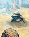भगवान शिव की महिमा अपरम्पार17