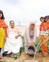 कन्या गुरुकुल में पर्यावरण दिवस लगाया एक पौधा मां के नाम17