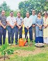 ओएसजीयू ने पौधे रोपकर बताया पर्यावरण संरक्षण का महत्व16