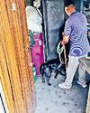 पुलिस ने चलाया सर्च अभियान4