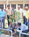विश्व पर्यावरण दिवस पर अनेक संगठनों ने किया पौधरोपण, पर्यावरण संरक्षण का लिया संकल्प10