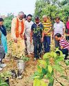 'एक पौधा मां के नाम' अभियान के तहत रोपे पौधे10